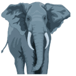 Sign of pride- Elephant